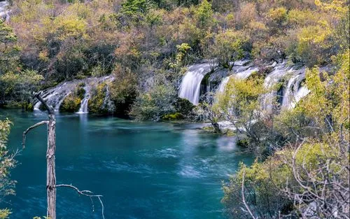 高性能高端